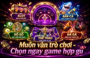 sportd7 giao diện mobile